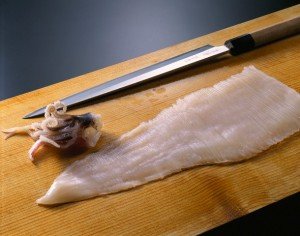 Sashimi of Spear Squid